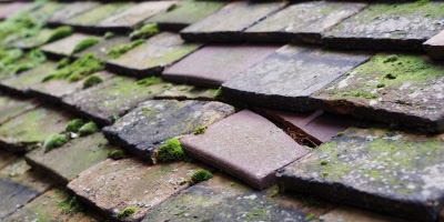 Thornhill roof repair costs